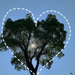 泰国女人的性生活视频
